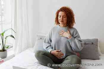 Meditation Changes Your Brain Structure in a Good Way