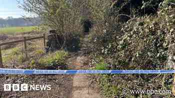 Girl in hospital after woodland assault