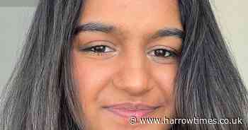 ‘Kind’ and ‘bright’ student who died after being hit by van on the Strand pictured