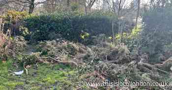 'Sex orgies and drug users are destroying our park'