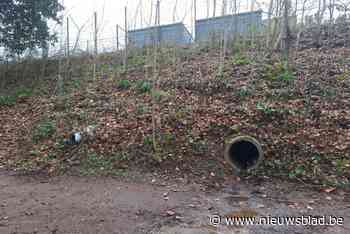 Wandelaar ontdekt uitwerpselen en toiletpapier in Park van Tervuren: “Dat is uiteraard niet de bedoeling”