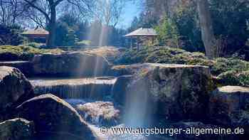 Der Frühling zieht in Augsburg im Botanischen Garten ein