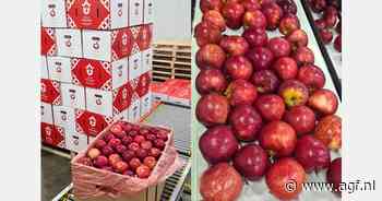 Portugese appelexporteur focust op Midden-Oosten en grotere maten