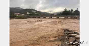 "Overstromingen Malaga beperken avocado-oogst, maar schade erg lokaal"