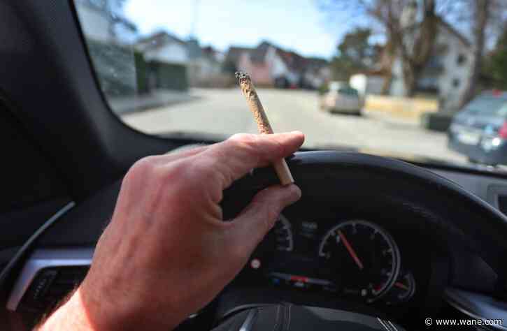 More than 80% of cannabis users admit to driving within hours of consuming: report