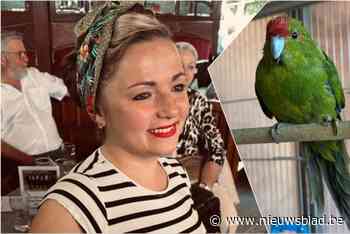 Darline ziet twee parkieten ontsnappen uit openstaande volière: “Gelukkig keerde er al eentje terug naar de lokroep van zijn vrouwtje”