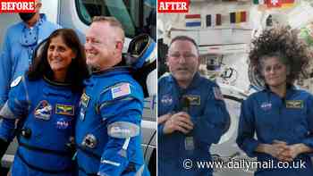 Scientists reveal what space does to your hair - as rescued NASA astronauts stun the world with their appearance