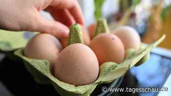 Eierverbrauch in Deutschland 2024 deutlich gestiegen