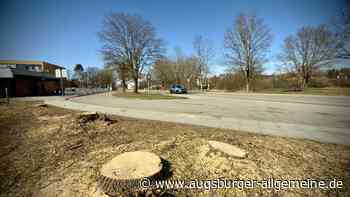 Bäume müssen neuer Bushaltestelle weichen – für mehr Sicherheit beim Schulweg