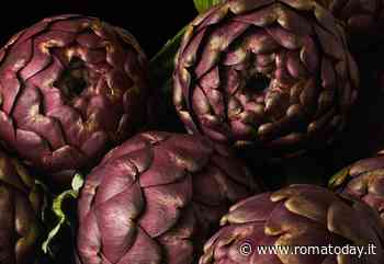 72esima Sagra del carciofo romanesco a Ladispoli