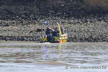 Brandweer redt zwemmer op houten plank uit de Schelde
