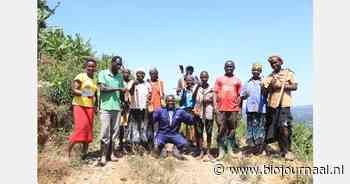 Grootschalig project voor nieuwe koffie-industrie in Oeganda