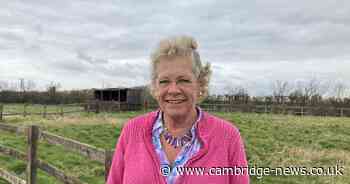 Locals plead 'leave the fields alone' as council will not fight solar farm appeal