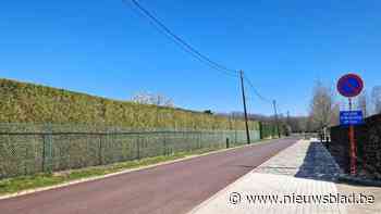 Vlaanderen steunt royaal om Smeendijk om te bouwen tot fietsstraat