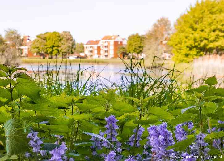 Kenniscentrum Nieuwe natuur in ontwikkeling