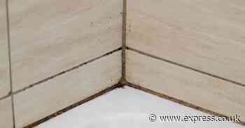 Banish tile grout mould with quick trick that's 'less exhausting' than scrubbing