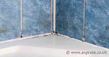 Get rid of mould and stop it coming back with 'powerful' 2-ingredient spray