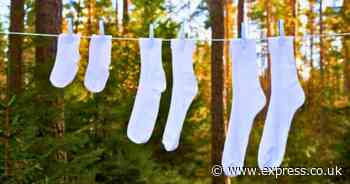 Whiten socks and remove tough stains by using simple kitchen remedy - no bleach needed