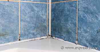 Silicone sealant mould ‘vanishes like magic’ in 10 minutes with 1 ‘powerful’ natural item