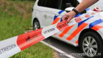 Auto en vrachtwagen botsen op industrieterrein, bestuurder zwaargewond