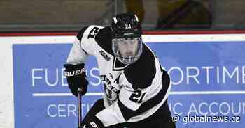 Leafs sign defenceman Prokop to one-year deal