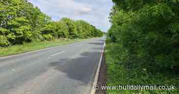 Plans for archaeological dig at site of proposed Howden relief road