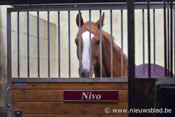Twee mannen zwaar toegetakeld aangetroffen in stal: vier verdachten opgepakt