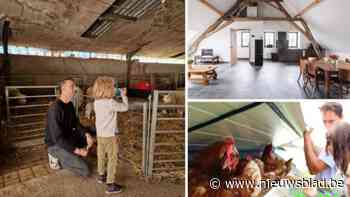 Boer zoekt toerist: nieuwe vakantiewoning in Reet is vrucht van kruisbestuiving landbouw en toerisme in Rupelstreek