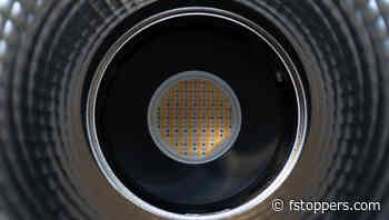 Small and Powerful: The Neewer HB 80C Opens A Host of Creative Opportunities