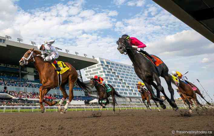 Top Canadian breeder says U.S. tariffs could cripple horse-racing industry