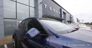 Up to 80 Teslas damaged at Ontario dealership as Musk decries ‘deranged’ acts