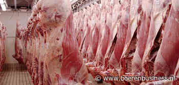 Rundveeprijs rijgt record aan record door krapte