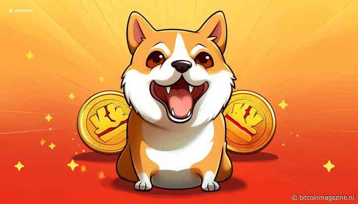 Meme-coins stijgen: Bonk leidt rally terwijl Dogecoin en Shiba Inu volgen