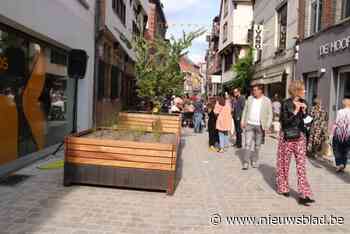Politie peilt naar fietsgedrag in wandelzones