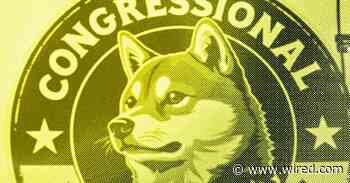 DOGE Is Doing the Opposite of Government Auditing