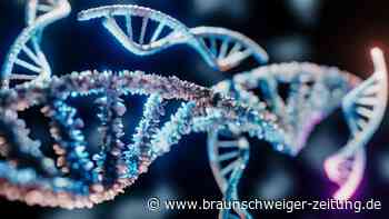 Verblüffend: Wissenschaftler entschlüsseln die biologische Uhr