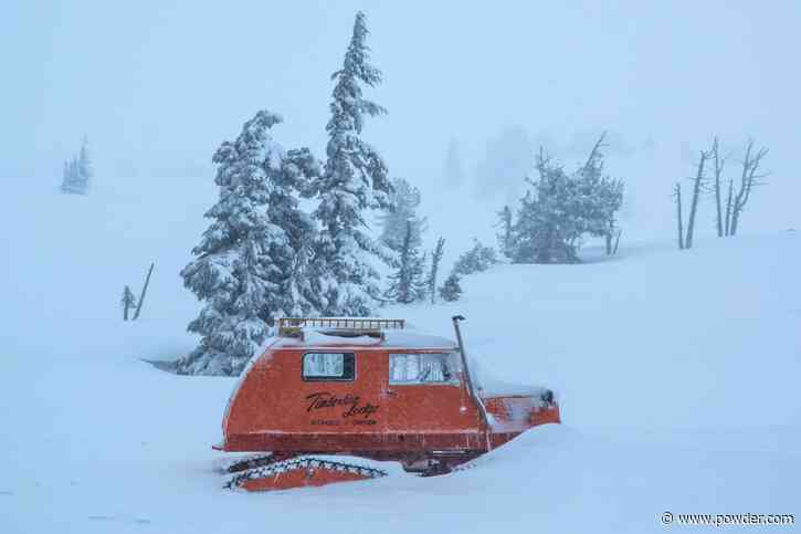 48 Inches of New Snow Will Cause Dangerous Tree Wells, Oregon Ski Resort Warns