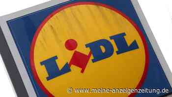 Lohnt sich die neue Lidl-Werbung auf TikTok, Instagram und Co.?