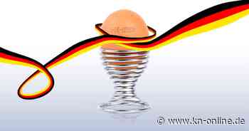 Eier-Krise in den USA: Warum Deutschland jetzt dringend gebraucht wird