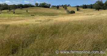 Shiloh delivers country lifestyle with well-established improved pastures