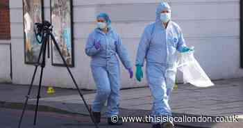 Police appeal for eyewitnesses after man killed in Brixton stabbing