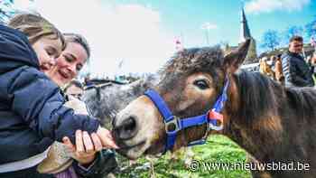 Kuringen viert al voor de 783ste keer feest met de Paardenmarkt