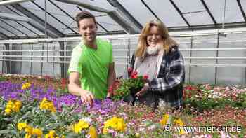 Zum Frühlingsanfang: Experten geben Tipps zu Gemüse, Blumen, Balkon - und verraten aktuellen Trend
