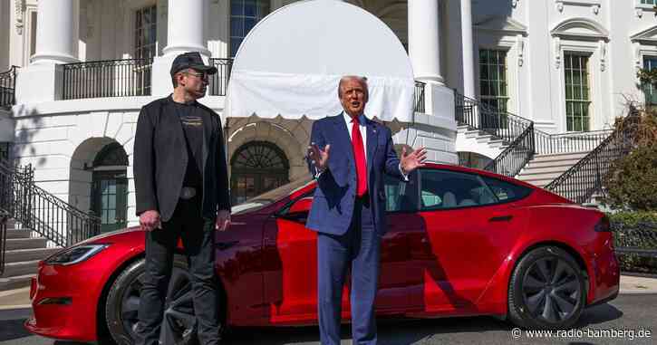US-Regierung geht gegen Tesla-Zündler vor