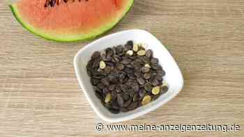 „Zur Sicherheit unserer Kunden“: Snack-Produkt wegen krebserregendem Schimmelpilzgift von Rückruf betroffen