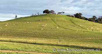 Mixed farming opportunity with premium Koppio land for sale