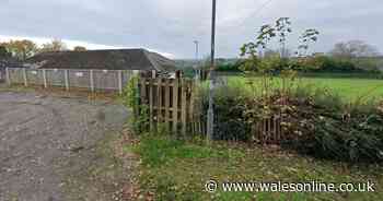 Police appeal after man intimidates and spits on woman