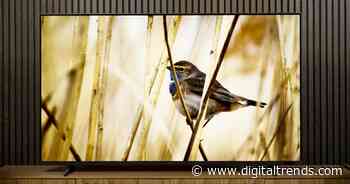 We highly recommend the Roku Class Pro Series, especially now that it’s on sale