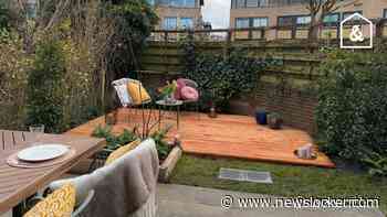 Een katvriendelijke, kleurrijke tuin voor Lotte in Amsterdam