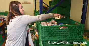 'The UK Government's brutal cuts to benefits will bring horror and distress to people in Wales'